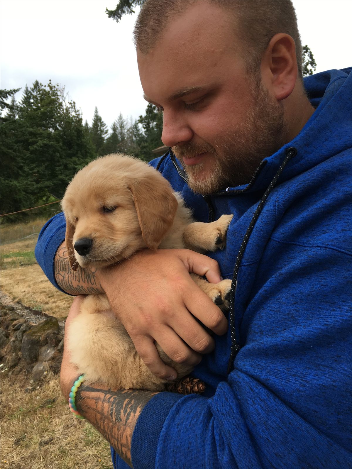 David and his Golden Retriever puppy