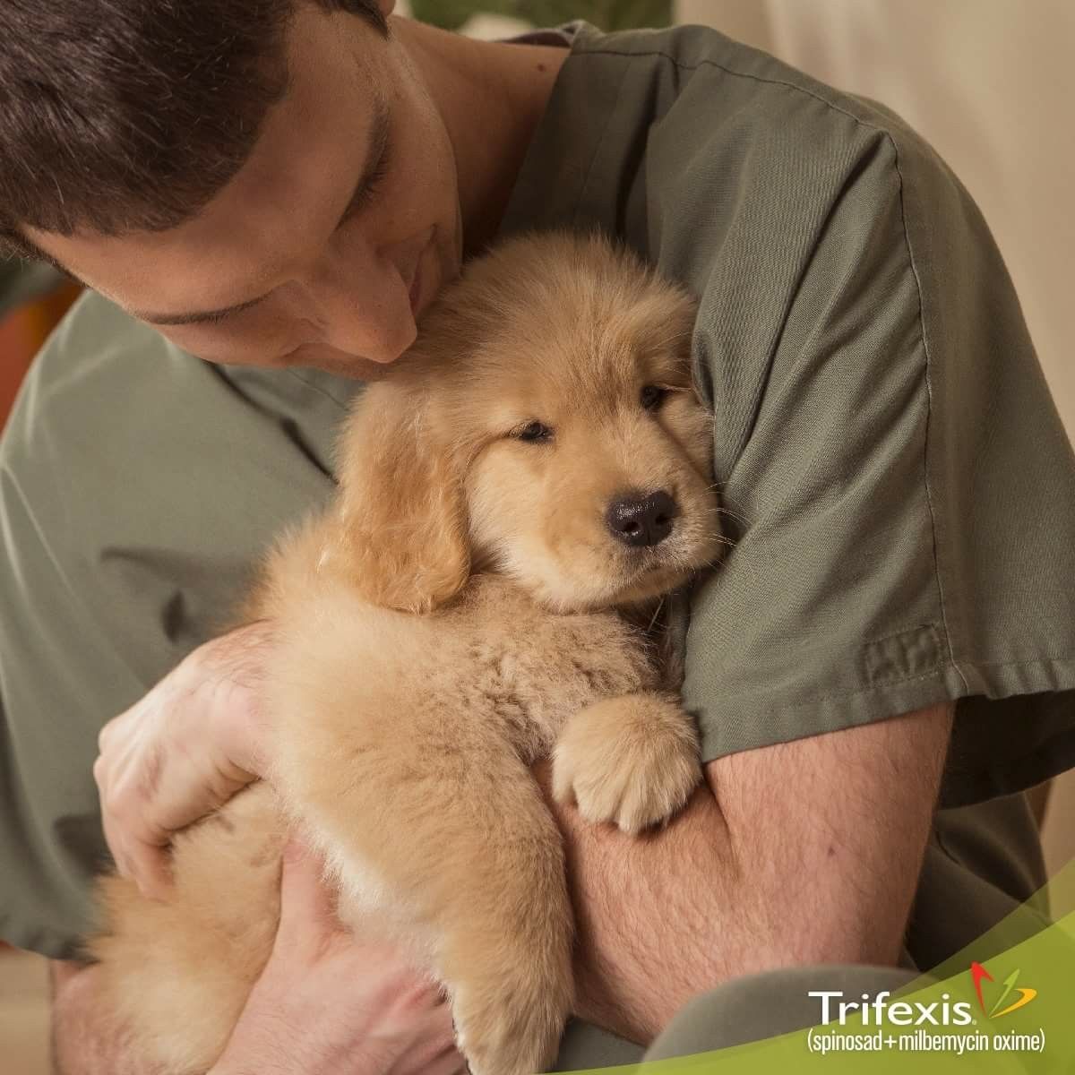 Cathy and family with their Golden Retriever