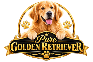 Pure Golden Companions